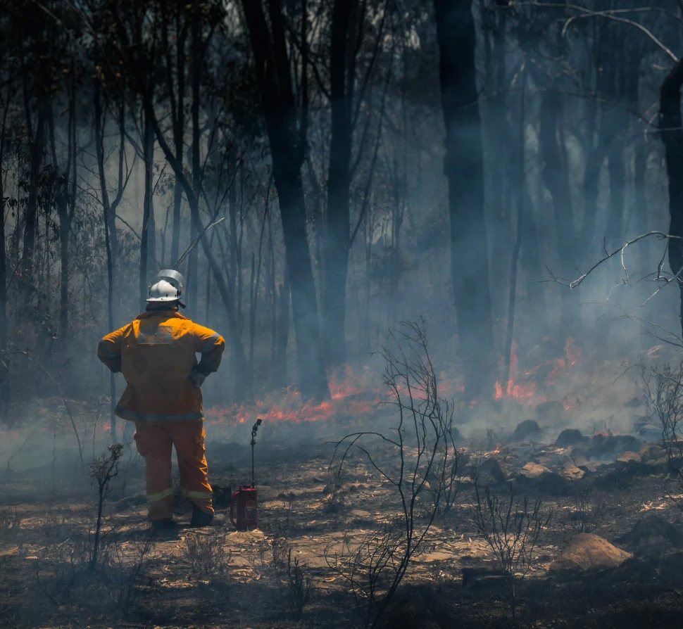 Backburning for bushfire defence