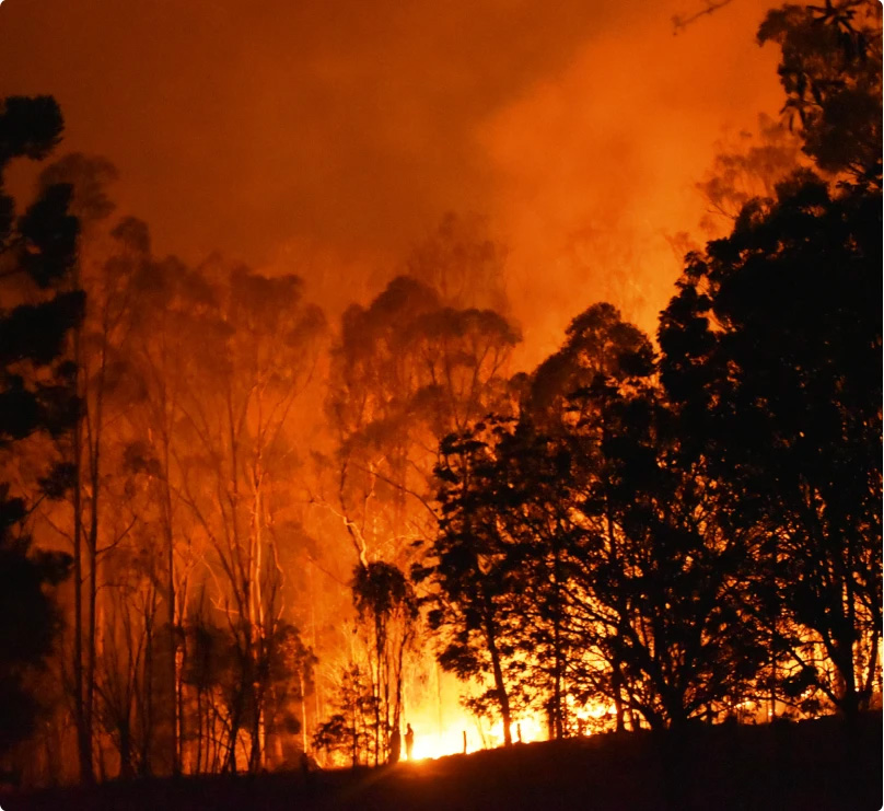 Bushfire and ember attack